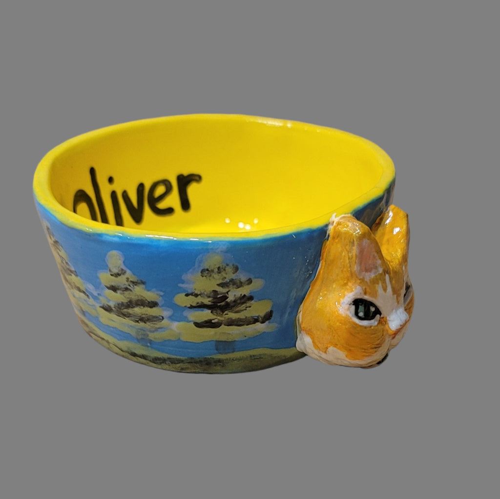 Special Custom Pet Bowls
