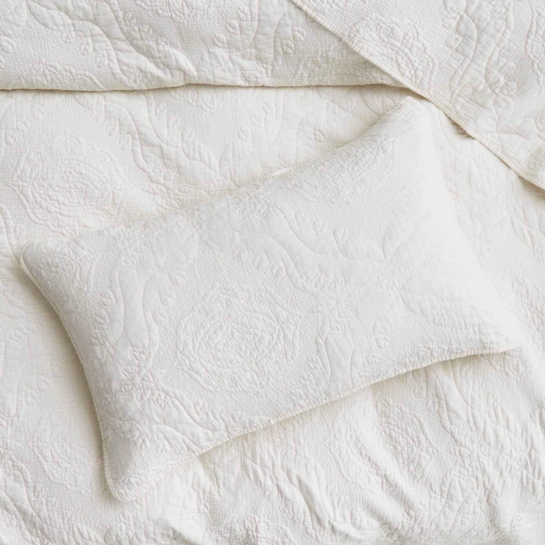 Tache Vanilla Cream Ivory Paisley  Cotton Quilt Set