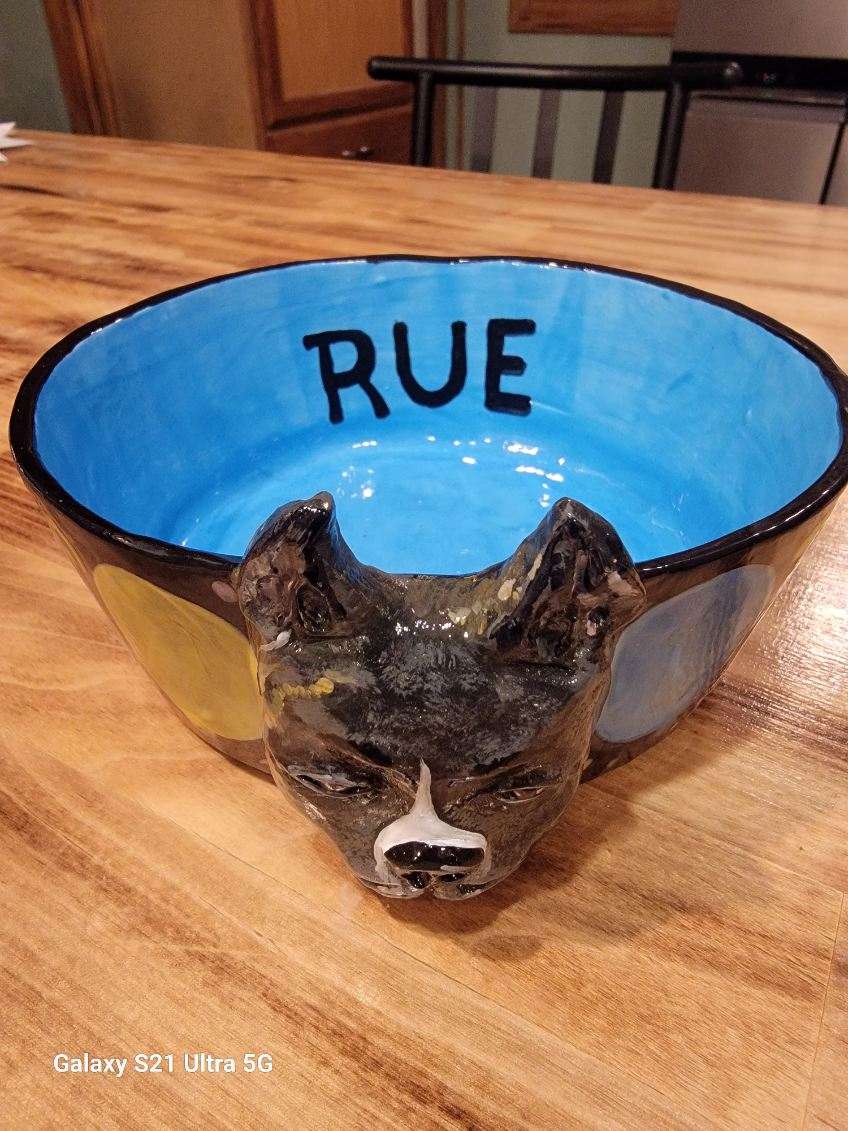 Special Custom Pet Bowls