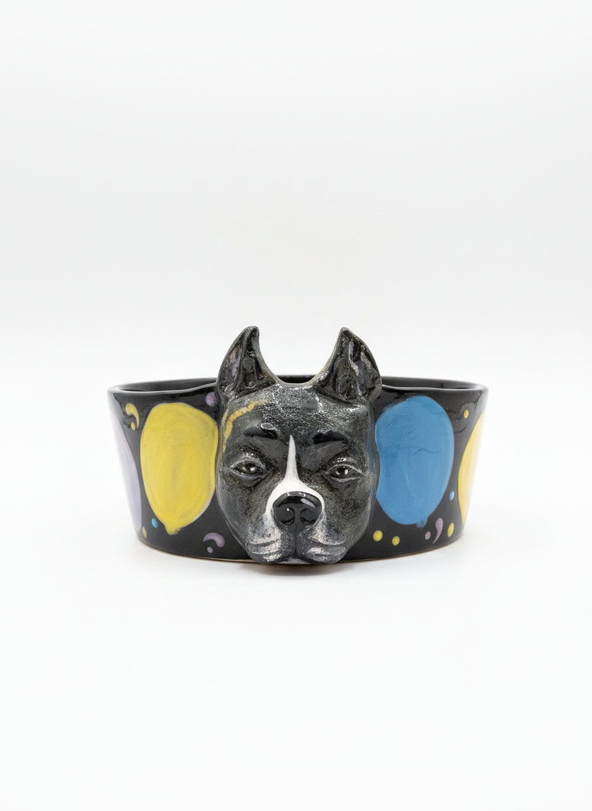 Special Custom Pet Bowls