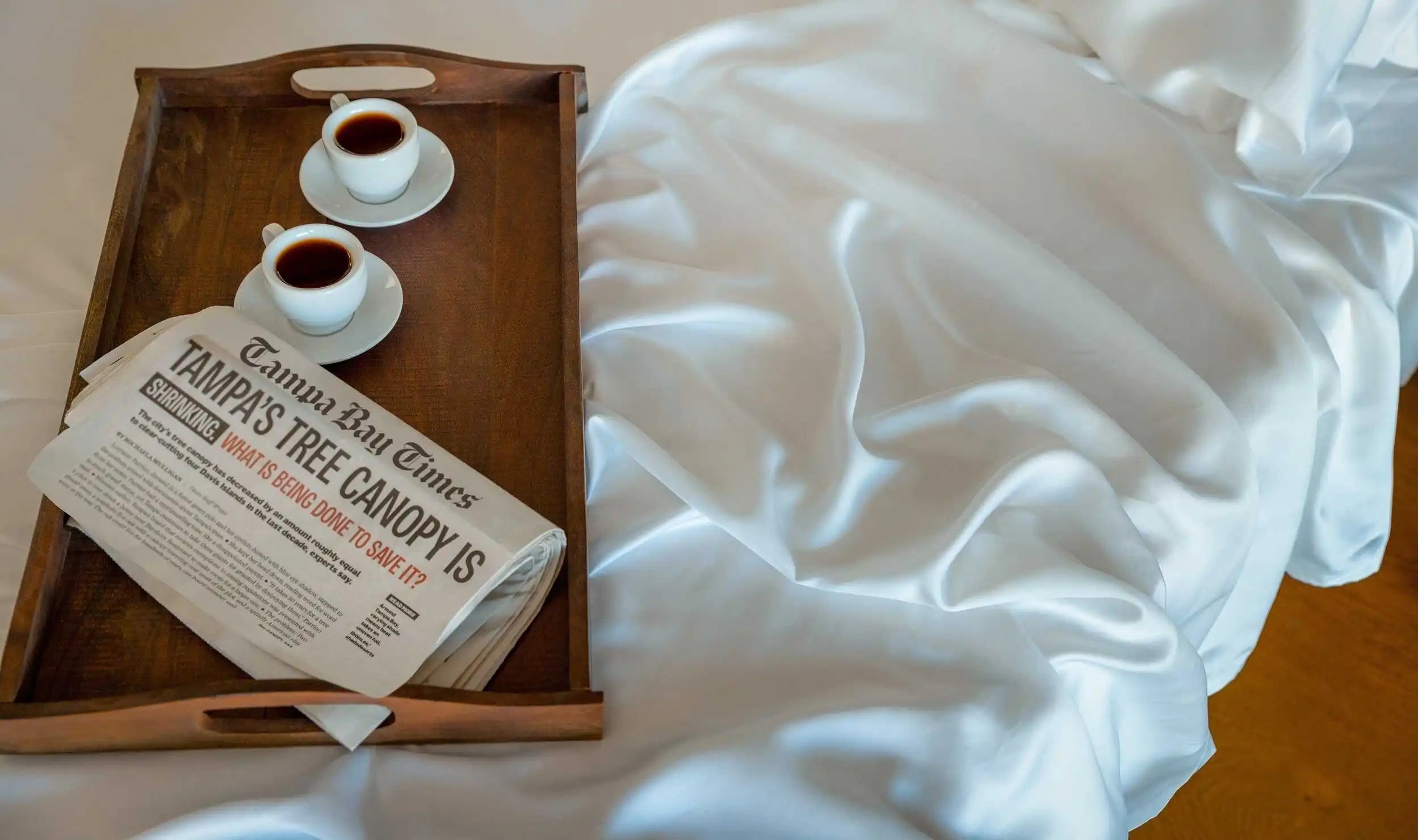 Eucalyptus Silk Sheets