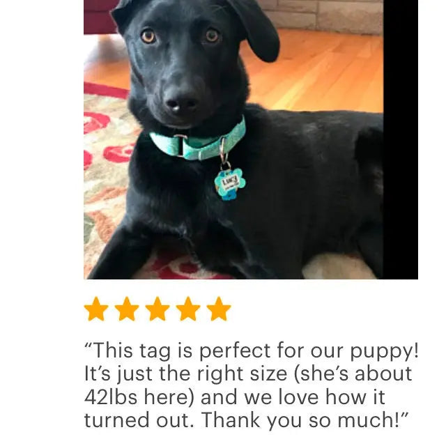 Pet Tag for Dogs